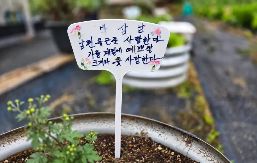 텃밭 화분에 꽂힌 손글씨 팻말