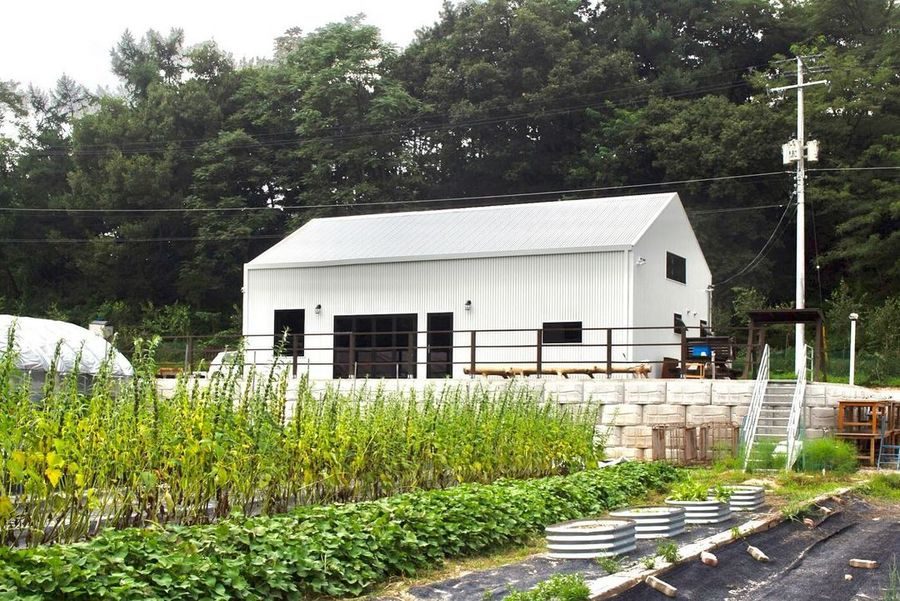 텃밭 너머 하얀 본관